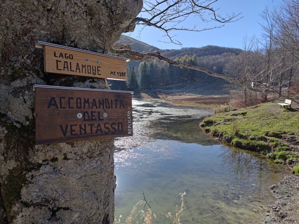 Alla ricerca di castagne: Monte Ventasso e Lago Calamone